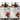 Biophix D-Mannose Plus Cranberry Probiotics 120 Veggie Caps 2 Pack Bundle Front View
