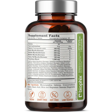 Load image into Gallery viewer, Biophix 16 in 1 Advanced Mushroom Shield with Vitamin C 120 Tablets