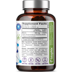 B-3 Nicotinamide 500 mg 60 Caps - Nicotinic Amide Niacin Supports Skin Cell Health