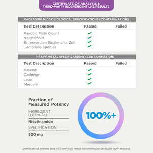 Nicotinamide 500 mg 100 Capsules