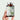 Oil of Oregano 90 Softgels with Fennel and Ginger Oil biophix Health and Beauty