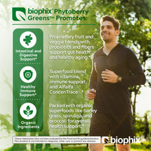 Load image into Gallery viewer, biophix Phytoberry Greens Superfood Powder Berry Flavor 10.6 oz